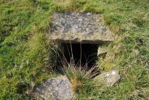 Source of The Irwell